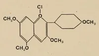 An illustration from The anthocyanin pigments of plants (1916)