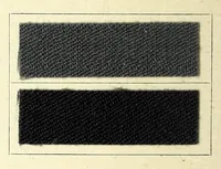 An illustration from Anthracyanin A-Marken = Anthracyanine A-brands = Les marques d'anthra cyanine A (1900)