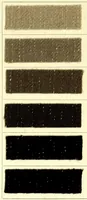 An illustration from Anthracyanin A-Marken = Anthracyanine A-brands = Les marques d'anthra cyanine A (1900)