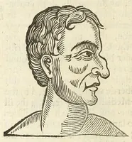 Picture 21 of 64 from Anthropometamorphosis: man transform'd: or, The artificiall changling, historically presented, in the mad and cruel gallantry, foolish bravery, ridiculous beauty, filthy finenesse, and loathsome loveliness of most nations, fashioning and altering their bodies from the mould intended by nature; with figures of those transformations. To which artificial and affected deformations are added, all the native and national monstrosities that have appeared to disfigure the humane fabrick. With a vindication of the regular beauty and honesty of nature (1653), leaf 194