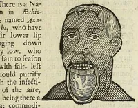 Picture 27 of 64 from Anthropometamorphosis: man transform'd: or, The artificiall changling, historically presented, in the mad and cruel gallantry, foolish bravery, ridiculous beauty, filthy finenesse, and loathsome loveliness of most nations, fashioning and altering their bodies from the mould intended by nature; with figures of those transformations. To which artificial and affected deformations are added, all the native and national monstrosities that have appeared to disfigure the humane fabrick. With a vindication of the regular beauty and honesty of nature (1653), leaf 229