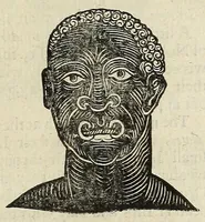 An illustration from Anthropometamorphosis: man transform'd: or, The artificiall changling, historically presented, in the mad and cruel gallantry, foolish bravery, ridiculous beauty, filthy finenesse, and loathsome loveliness of most nations, fashioning and altering their bodies from the mould intended by nature; with figures of those transformations. To which artificial and affected deformations are added, all the native and national monstrosities that have appeared to disfigure the humane fabrick. With a vindication of the regular beauty and honesty of nature (1653)