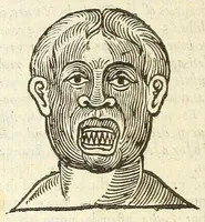 An illustration from Anthropometamorphosis: man transform'd: or, The artificiall changling, historically presented, in the mad and cruel gallantry, foolish bravery, ridiculous beauty, filthy finenesse, and loathsome loveliness of most nations, fashioning and altering their bodies from the mould intended by nature; with figures of those transformations. To which artificial and affected deformations are added, all the native and national monstrosities that have appeared to disfigure the humane fabrick. With a vindication of the regular beauty and honesty of nature (1653)