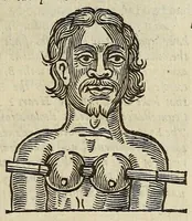 Picture 50 of 64 from Anthropometamorphosis: man transform'd: or, The artificiall changling, historically presented, in the mad and cruel gallantry, foolish bravery, ridiculous beauty, filthy finenesse, and loathsome loveliness of most nations, fashioning and altering their bodies from the mould intended by nature; with figures of those transformations. To which artificial and affected deformations are added, all the native and national monstrosities that have appeared to disfigure the humane fabrick. With a vindication of the regular beauty and honesty of nature (1653), leaf 387