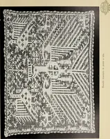 An illustration from Antiche trine italiane : trine ad ago (1908)
