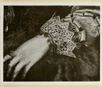 An illustration from Antiche trine italiane : trine ad ago (1908)