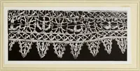 An illustration from Antiche trine italiane : trine ad ago (1908)