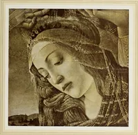 An illustration from Antiche trine italiane : trine ad ago (1908)
