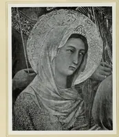 An illustration from Antiche trine italiane : trine ad ago (1908)