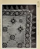 An illustration from Antiche trine italiane : trine ad ago (1908)