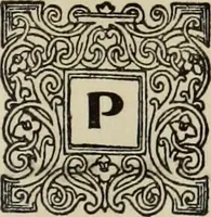 An illustration from Antiche trine italiane : trine ad ago (1908)
