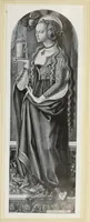 An illustration from Antiche trine italiane : trine ad ago (1908)