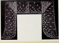 An illustration from Antiche trine italiane : trine ad ago (1908)