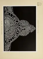 An illustration from Antiche trine italiane : trine ad ago (1908)