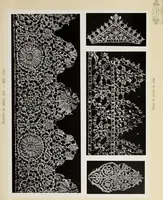 An illustration from Antiche trine italiane : trine ad ago (1908)