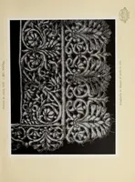 An illustration from Antiche trine italiane : trine ad ago (1908)