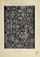 An illustration from Antiche trine italiane : trine ad ago (1908)