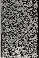 An illustration from Antiche trine italiane : trine ad ago (1908)