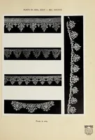 An illustration from Antiche trine italiane : trine ad ago (1908)