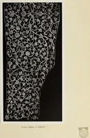 An illustration from Antiche trine italiane : trine ad ago (1908)