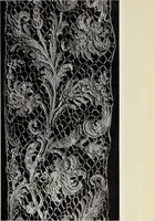 An illustration from Antiche trine italiane : trine ad ago (1908)