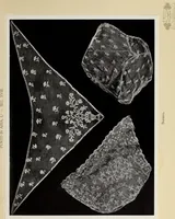 An illustration from Antiche trine italiane : trine ad ago (1908)