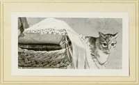 An illustration from Antiche trine italiane : trine ad ago (1908)