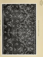 An illustration from Antiche trine italiane : trine ad ago (1908)