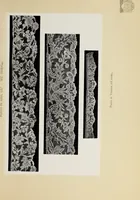 An illustration from Antiche trine italiane : trine ad ago (1908)