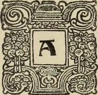 An illustration from Antiche trine italiane : trine ad ago (1908)