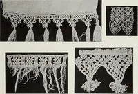An illustration from Antiche trine italiane : trine ad ago (1908)