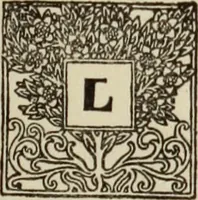 An illustration from Antiche trine italiane : trine ad ago (1908)