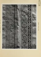 An illustration from Antiche trine italiane : trine ad ago (1908)