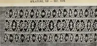 An illustration from Antiche trine italiane : trine ad ago (1908)