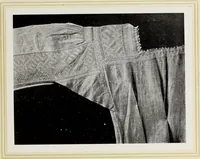 An illustration from Antiche trine italiane : trine ad ago (1908)