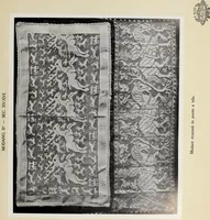 An illustration from Antiche trine italiane : trine ad ago (1908)