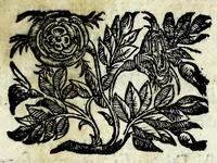 An illustration from Antichità della chiesa di S. Dionigi, et origine del nome di Cassano Geradadda (1617)