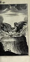 An illustration from Antigrapheus, sive, Conscientia hominis : coram Serenissimo Maximiliano Electore Bavaro (1655)