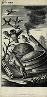 Picture 19 of 22 from Antigrapheus, sive, Conscientia hominis : coram Serenissimo Maximiliano Electore Bavaro (1655), leaf 331