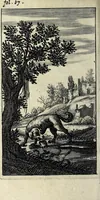 Picture 5 of 22 from Antigrapheus, sive, Conscientia hominis : coram Serenissimo Maximiliano Electore Bavaro (1655), leaf 78