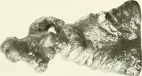 An illustration from Antike Bronzestatuetten (1921)