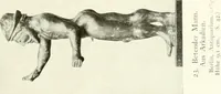 An illustration from Antike Bronzestatuetten (1921)