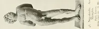 An illustration from Antike Bronzestatuetten (1921)