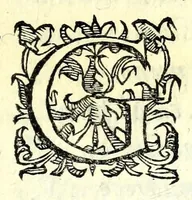 An illustration from Antiloco : tragicomedia (1594)