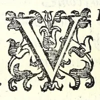An illustration from Antiloco : tragicomedia (1594)