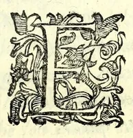 An illustration from Antiloco : tragicomedia (1594)