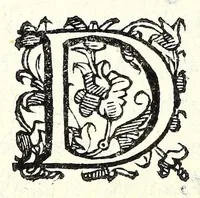 An illustration from Antiloco : tragicomedia (1594)