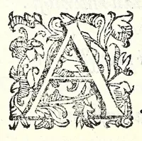 An illustration from Antiloco : tragicomedia (1594)