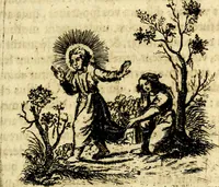 Picture 33 of 87 from Antipathia Amoris Divini et Humani duobus Libris comprehensa, per themata et sententias, insuper et Figuras aeneas, adjectis versibus Gallicis et Hispanicis, illustrata, antehac Antuerpiae Typis data (1694), leaf 86
