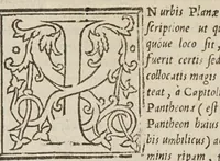 An illustration from Antiquae Romae topographia : libri septem (1534)